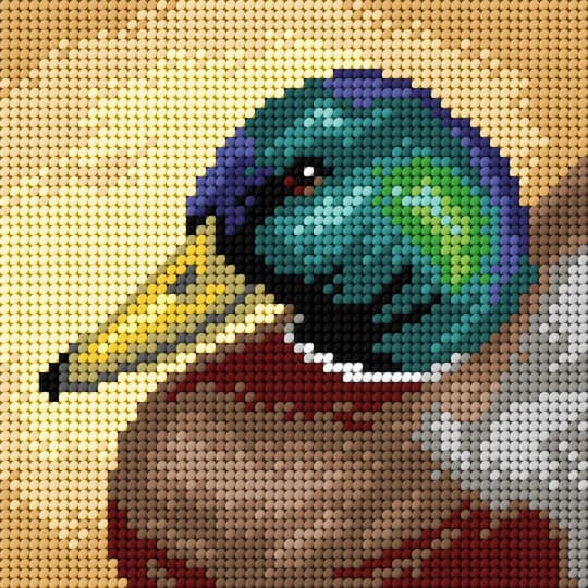 Orchidea Mallard Duck Gobelin Canvas Kit